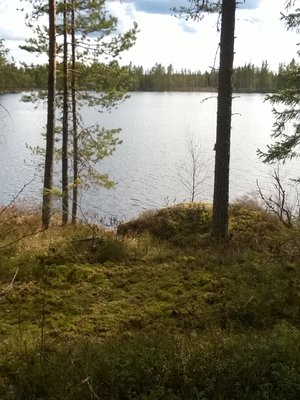 Telttasaunan paikka on lammen rannassa: uimaan vain muutama harppaus.