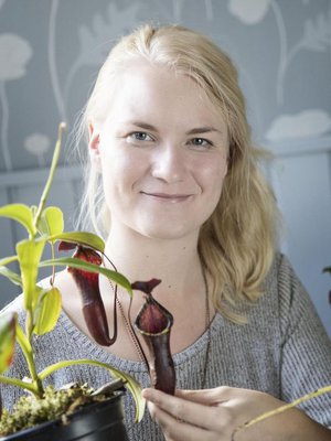 Kannukasvi ’Nepenthes muluensis x lowii’ on Sirun suosikki: ”Jään sanattomaksi, kun katson sitä.”