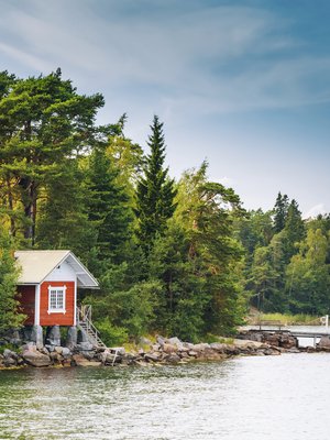 Kun mökki jää viettämään talvea ilman asukkaita, siellä voi hyvinkin vierailla hiiriä tai myyriä. Kaikki ruoka ja jopa saippuat kannattaa sulkea laatikoihin, joihin ne eivät pääse.