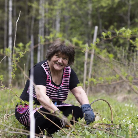 ”Ajattelin, että mitä tahansa maailmassa tapahtuukin, minulla on täällä kaikki. Luonto tarjoaa paljon syömistä, kun sen osaa hakea”, Marketta Horn sanoo.