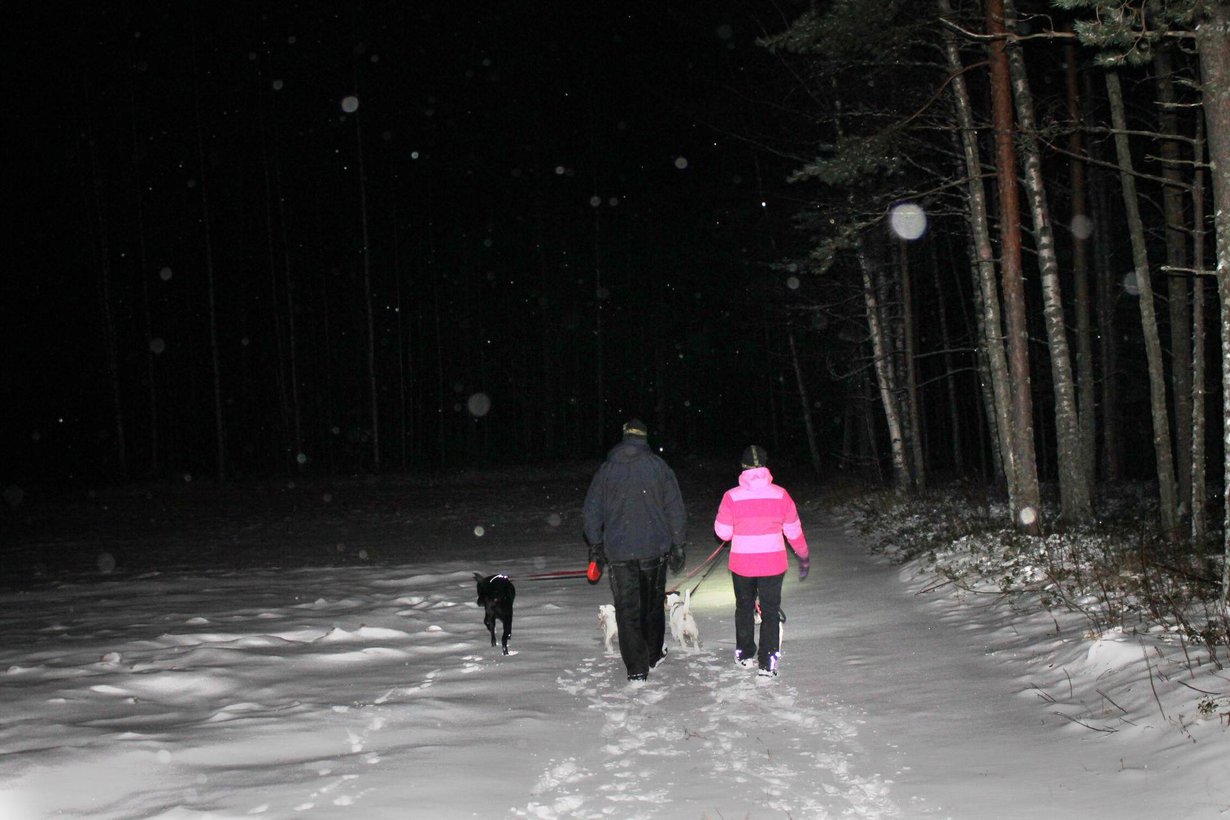 Marjan ja Pasin juttu on puhua paljon metsässä. Hiljaakin saa olla.