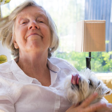 Eläkeläinen Eija Pyykkö, 68, ja kääpiösnautseri Bertta, 6, Inkoosta.