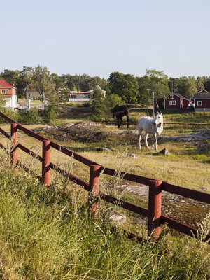 Idyllisiin maisemiin päästäkseen ei tarvitse matkustaa kauas. Saariston rengastiellä Korppoon kirkonkylä on kuin postikortista.