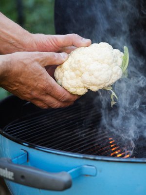 Sinne vaan koko kaali!