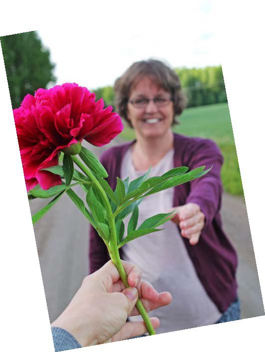 Maarit Lyyra, 49, kotiäiti, Kouvola