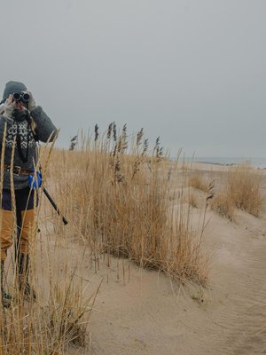 "Puhekielessä lintuharrastajaa kutsutaan bongariksi, mutta harrastajien keskuudessa bongaaminen on sitä, että mennään katsomaan toisen löytämää lintua”, Saana Meski kertoo.