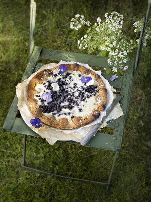 Tämän piirakan ainekset poimii parhaimmillaan jo parilta mustikkamättäältä. 