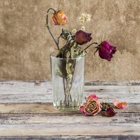 Kommunikaatiovaikeudet ovat yleisin syy eroon.