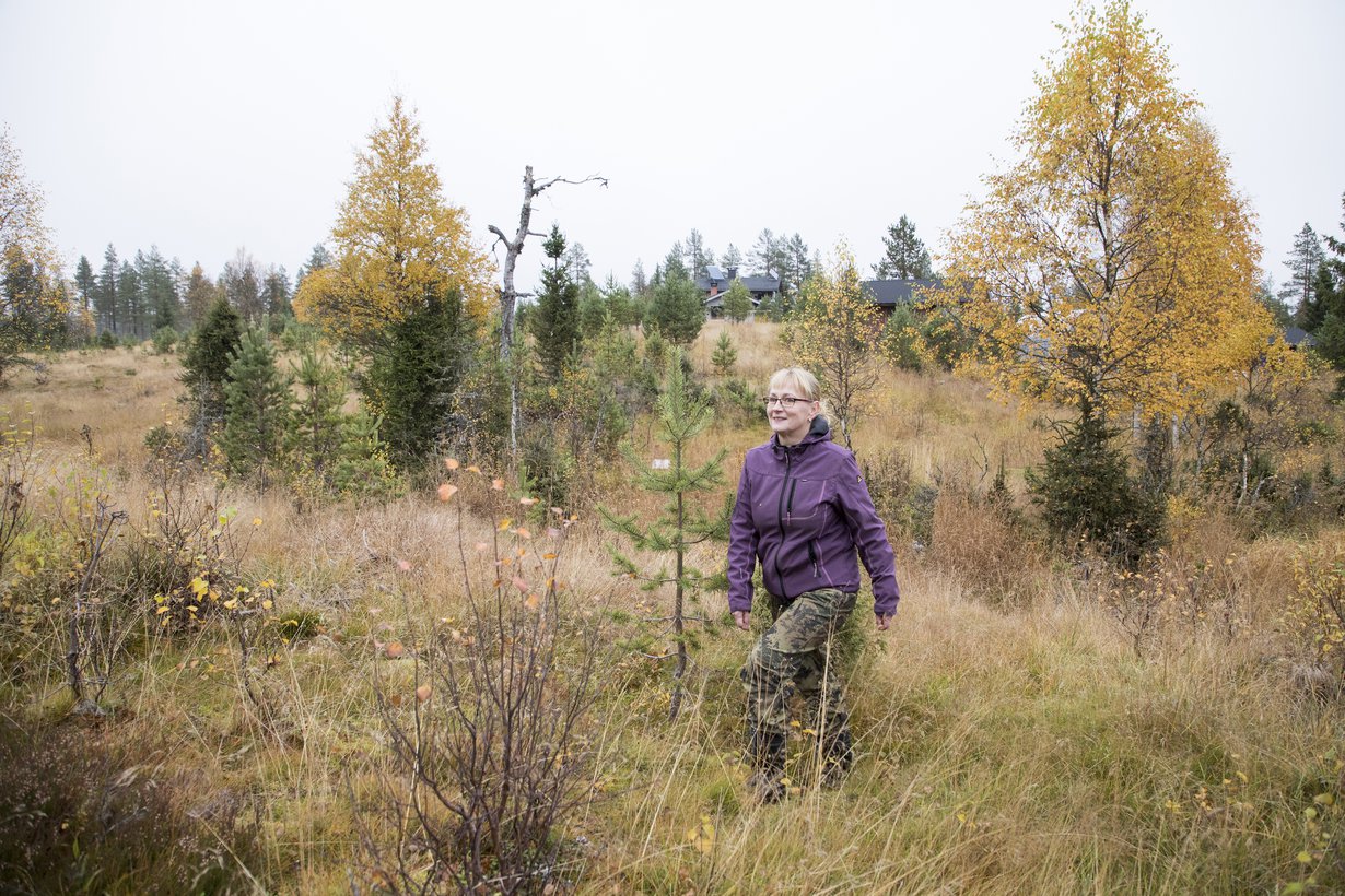 Luonto hoitaa, tietää Tarja. ”Suru ja menetykset ovat opettaneet elämään sellaista elämää kuin todella haluan. Siksi asun täällä, muiden mielestä keskellä ei mitään ja omasta mielestäni keskellä kaikkein tärkeintä.”