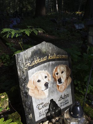 Kuva on eläinten hautausmaalta Helsingin keskuspuistosta. Se ei liity jutun tarinoihin.