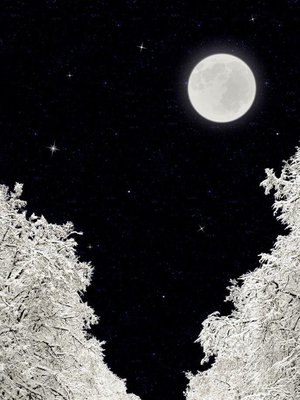 Tänä vuonna talvipäivänseisaukseen osuu myös täysikuu.