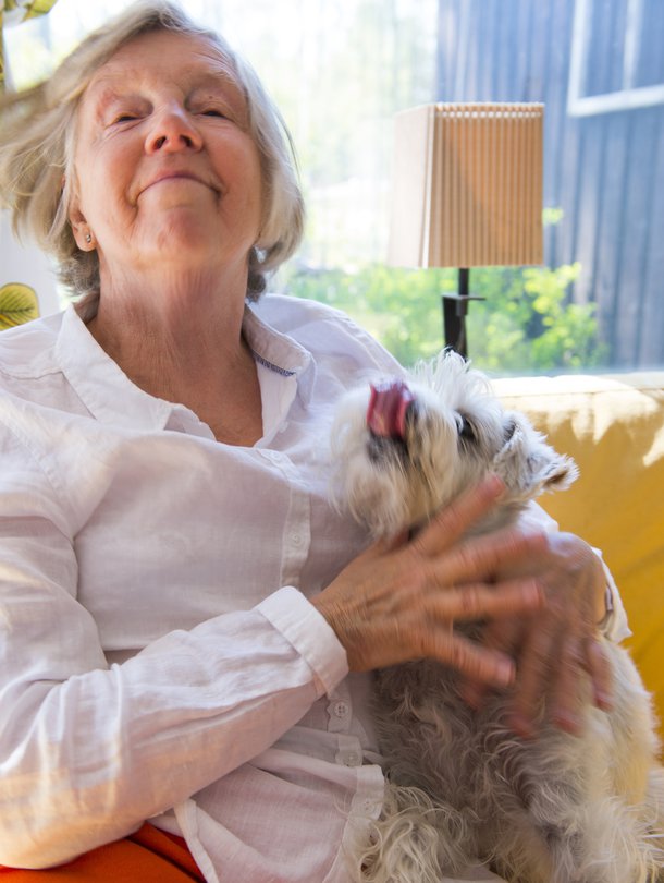 Eläkeläinen Eija Pyykkö, 68, ja kääpiösnautseri Bertta, 6, Inkoosta.