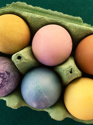 Ruoka-aineilla värjätyt munat ovat kauniita koristeita pääsiäispöydässä. Mikä parasta, ne voi myös syödä. Kennon munat on värjätty vihrellä teellä (ylhäällä vasemmalla), puolukalla, kahvilla, mustikalla, punakaalilla ja kurkumalla.