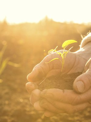 Viisi asiaa, joita emme tajua vanhuksista