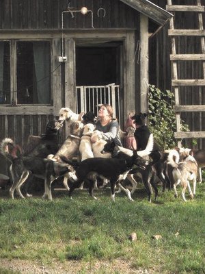 22 rekikoiran lauma pitää seuraa emännälleen Eliisalle.
