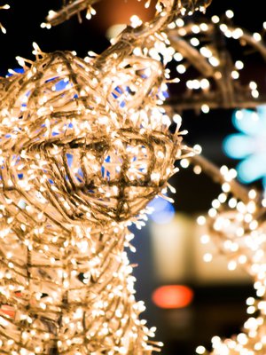 Onpa naapurin Reino jo laittanut pihalleen komean valoporon!