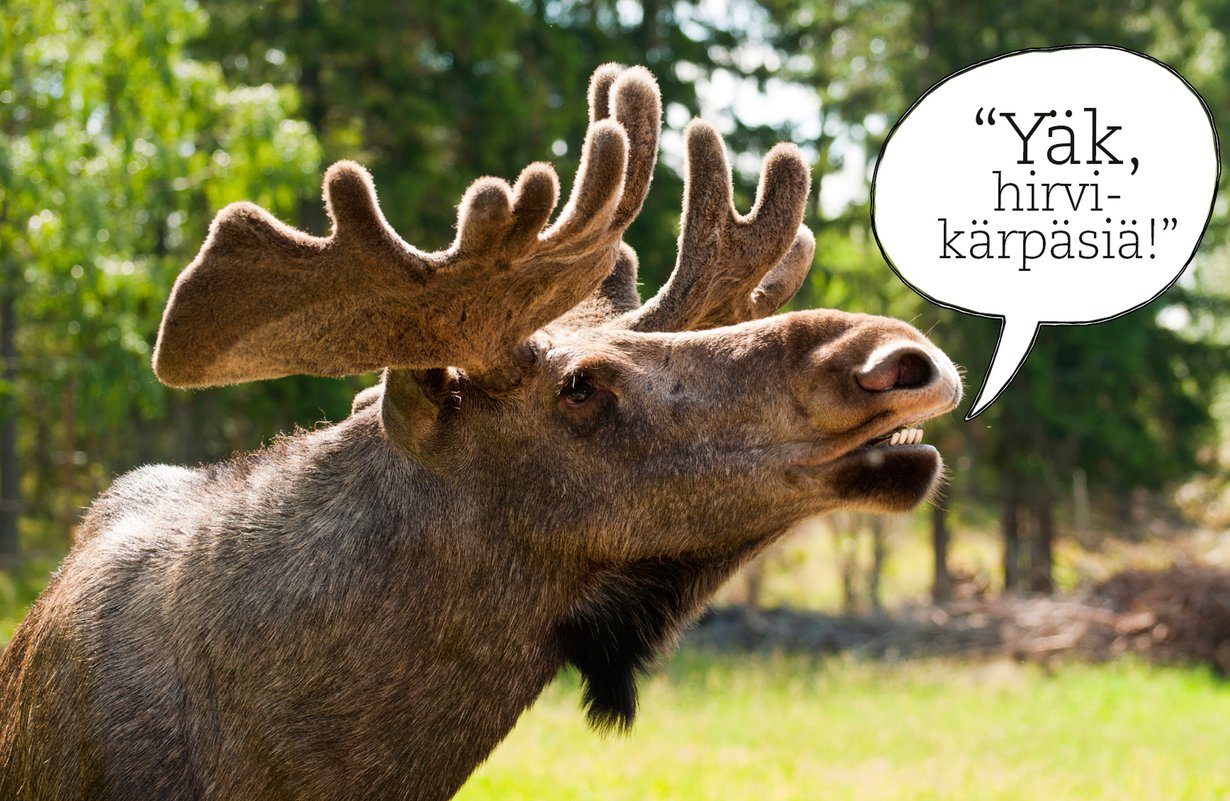 Aika monia meistä luullaan hirviksi.