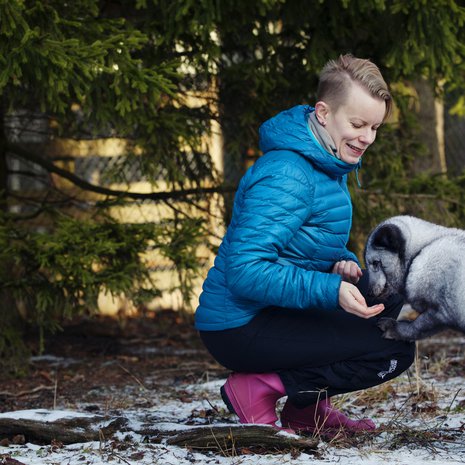 Sinikettu Otto asuu Eläinsuojelukeskus Tuulispäässä, jossa Mia Takula on käynyt vapaaehtoistöissä. Otto löytyi pyörimästä teollisuusalueelta ja otettiin kiinni poliisin luvalla. Otto lienee tarhakarkulainen, sillä sen jalat ovat vääntyneet, niin kuin häkissä kasvaneille ketuille voi käydä.