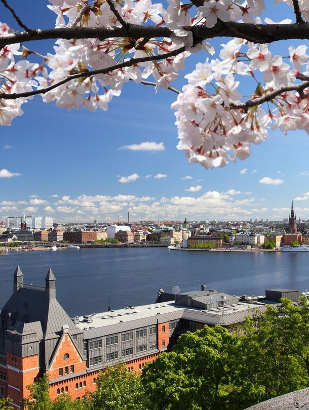 Tukholmassa kannattaa uskaltautua myös ihan ydinkeskustan ulkopuolelle. Södermalmin Skinnarviksberget-kukkulalta on upeat näkymät.