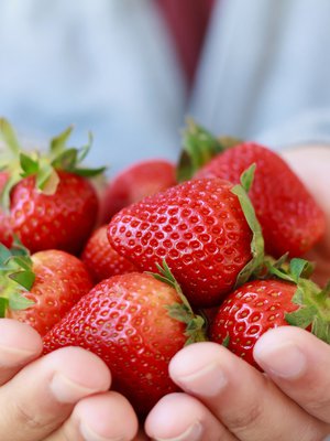 Ne ovat oikeasti hedelmiä. Pohjushedelmiä.