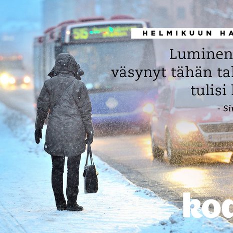 ”Helmikuu menee aina hujauksessa”, kokee lumipyrykuvasta runon kirjoittanut Sirpa.