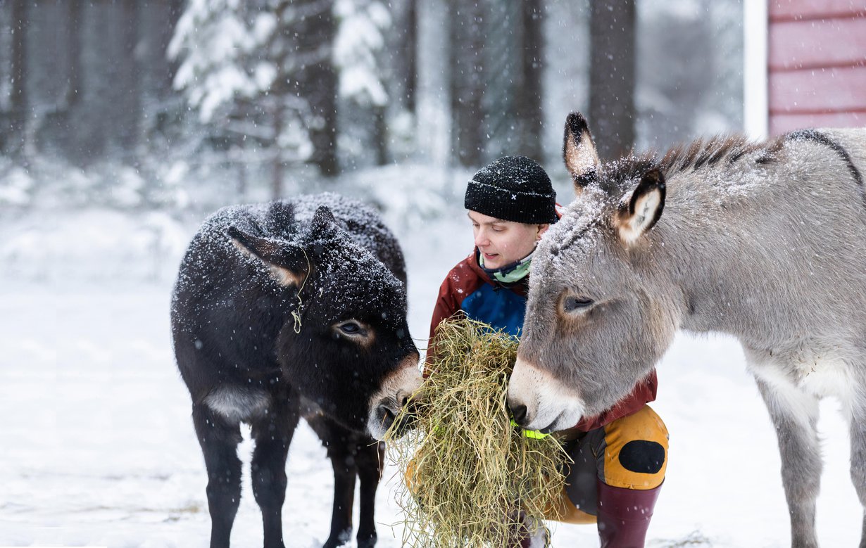 Aasipojat Dylan ja Jante ovat Riinalle rakkaita. Riina käyttää eläimistä puhuessaan aina pronominia hän. ”Sanoilla on valtaa. Valitsemamme sanat arvottavat ympäristöämme.”