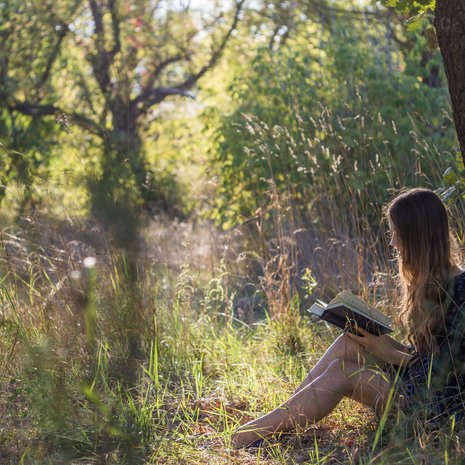 Introvertti tietää, että joskus parasta seuraa on oma seura (ja hyvä kirja).