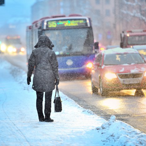 Helmikuun haiku - mitä se on sinulle?