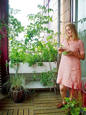 Kekkilän 90-litraisissa viljelylaatikoissa kasvit nousevat kaiteen yli valoon. Niissä kasvavat tomaatit, amppelimansikat ja yrtit. Koristeheinät lisäävät rentoa tunnelmaa, etualan ruukussa hurmesilkkiheinä 'Red Baron' ja rotkolemmikki.