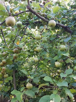 Mihin nämä kaikki saa taas mahtumaan?