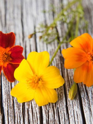 Samettikukilla saa kattaukseen iloista väriä!