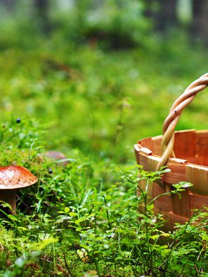 Metsästäjän vietit heräävät syksyllä. Kohteet ovat pieniä ja matalia.