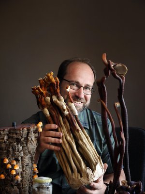 Lakkakääpä kasvaa kolmessa kuukaudessa komeaksi veistokseksi. Vasemmalla olevan valaisimen sienet  ovat 3D-tulosteita.  Lasipurkissa näkyy sienirihmastoa.