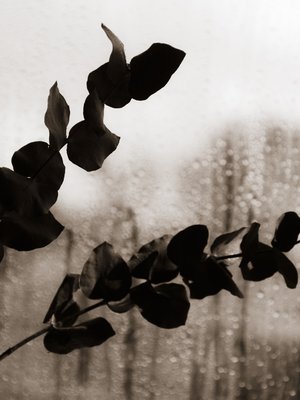 ”Minun äitiyteni lisääntyy vuosi vuodelta, mutta poika pysyy saman ikäisenä.”