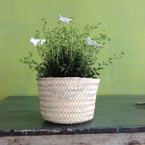 O niin kuin oregano. Piparkakkumuottia tarvitaan kesät talvet.