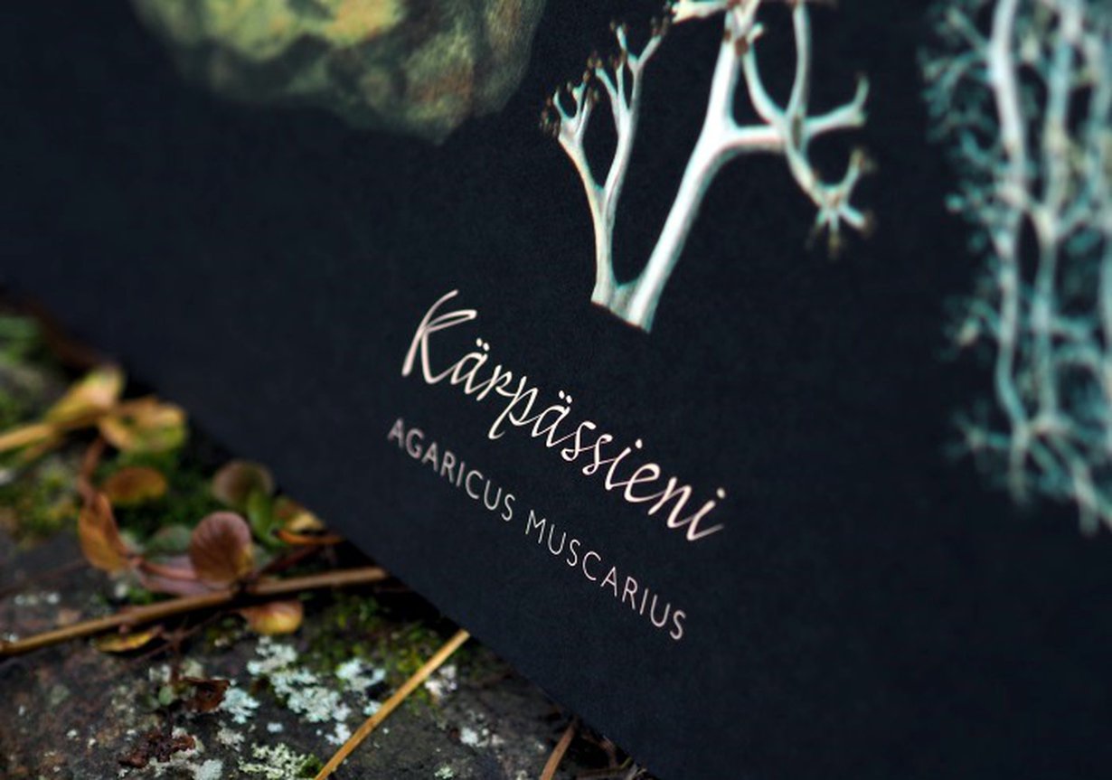 merkki saada linjassa koukku ylös eyeliner