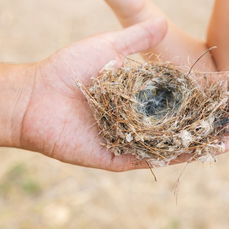 Juurihan ne olivat tässä, lapset. Nyt on vain kannustettava lentämään eteenpäin.
