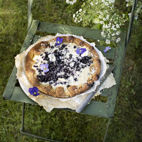 Tämän piirakan ainekset poimii parhaimmillaan jo parilta mustikkamättäältä. 