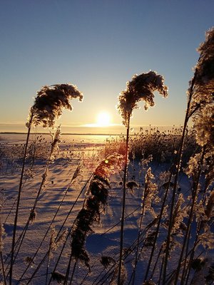 Sari Laitinen kuvasi talvisen maiseman Oulussa.