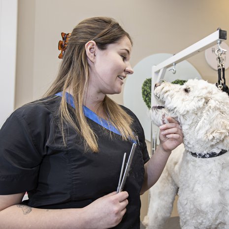Nean ja Remun syvä luottamussuhde on syntynyt säännöllisten tapaamisten myötä. Koirien trimmaukseen erikoistunut eläintenhoitaja Nea työskentelee itsenäisenä yrittäjänä Espoon Suomenojan Musti & Mirri -liikkeen trimmaamossa.