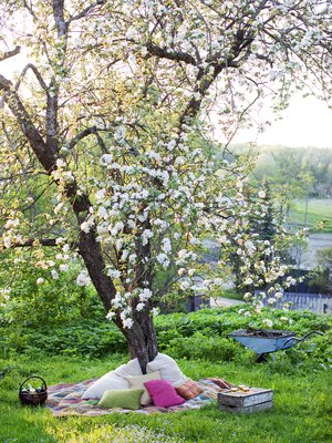Matot ja tyynyt kutsuvat illanviettoon omenapuun alla.