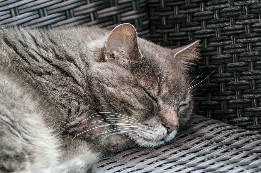 Mitä onni on sinulle? Pue se joskus sanoiksi. Sekin on askel kohti onnellisempaa elämää.