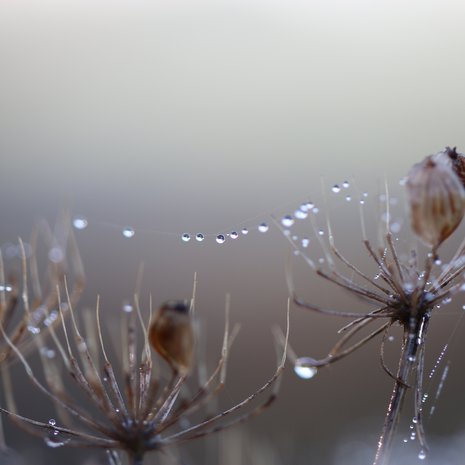 Mieltään voi hoitaa  tekemällä asioita, joista saa voimaa. Esimerkiksi puhumalla, nukkumalla tai kävelemällä metsässä.