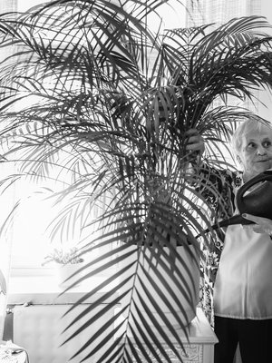 Kun Liisa tulee käymään Eilan luona, hän saattaa hoitaa samalla kukat, koska tietää, ettei sisko aina niin piittaa kastelusta.