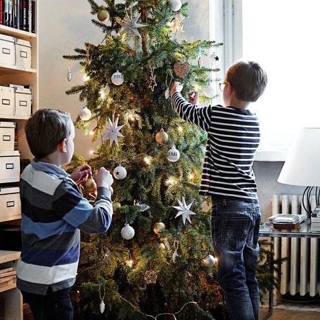 Kuusen koristelu on Oscarin ja Edwardin lempipuuhaa.